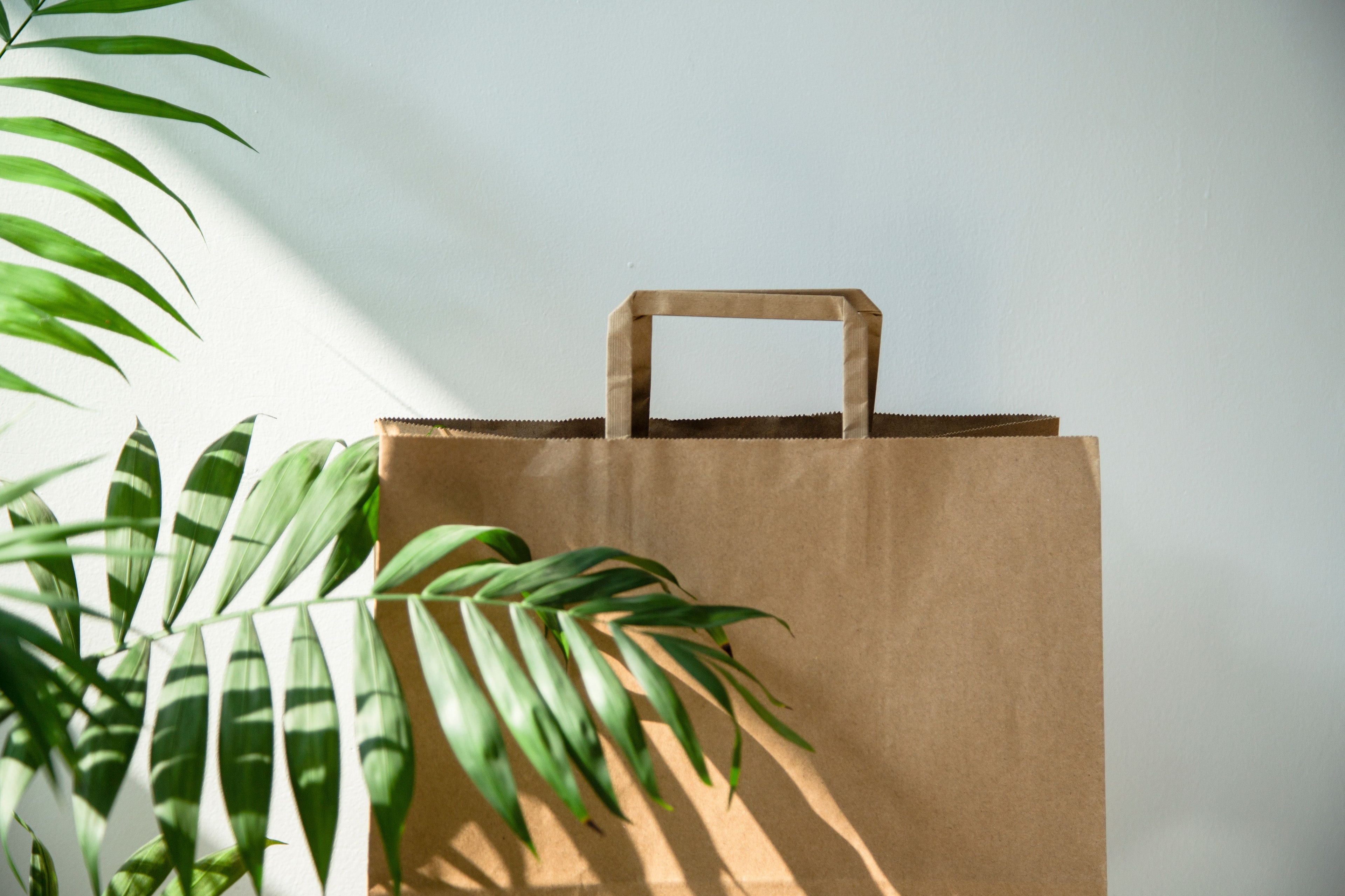 Sac en papier kraft et feuilles de palmier sur fond clair.